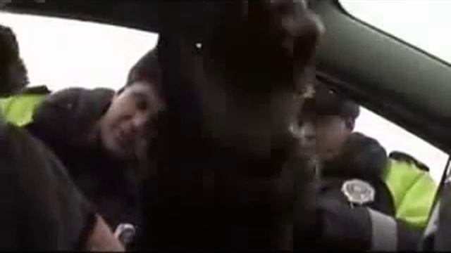 КАК НАДО РАЗГОВАРИВАТЬ С ГАИШНИКАМИ_ 1СЕРИЯ (1 ЧАСТЬ)..flv смотреть онлайн
