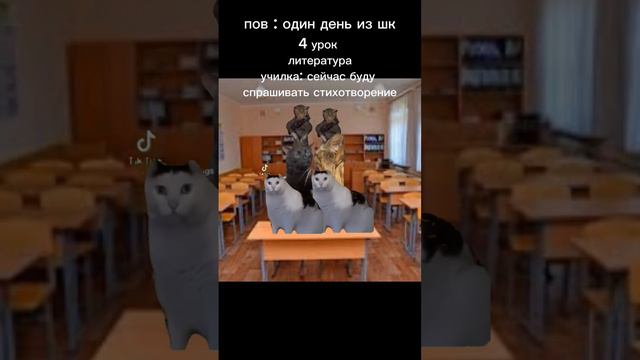 #котики #футаж #кот #котик #рек #врек #рекомендации #хочуврек #fypシ #on #rge #реки #top #ждуактив смотреть онлайн