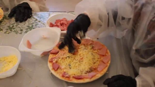 Ученики школы №25 (Кудряши, НСО) на экскурсии на СПК (ч.3) смотреть онлайн