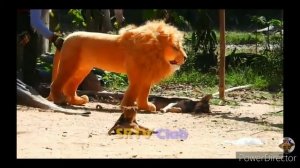 Плюшевый кошмар:пугают собаки ?