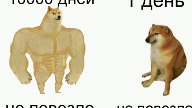 Когда пришёл в спорт зал в первый раз смотреть онлайн