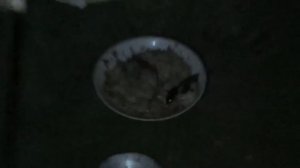 Как вывести тараканов без химии.Отличный способ