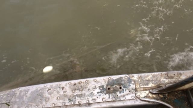 РЫБАЛКА СЕТЯМИ. ЕСТЬ УЛОВ смотреть онлайн