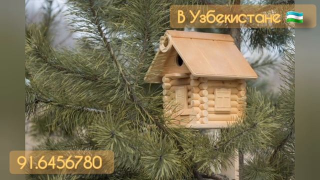 домики для белки в Узбекистане принимаем заказы смотреть онлайн