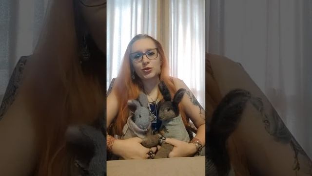 Зайцы в магии смотреть онлайн