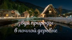 Звук природы в ночной деревне