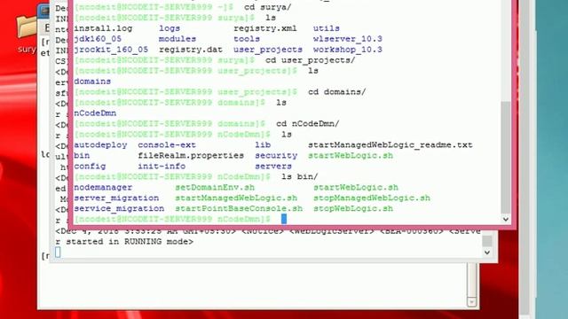 WL Domain creation and Star&Stop Servers смотреть онлайн