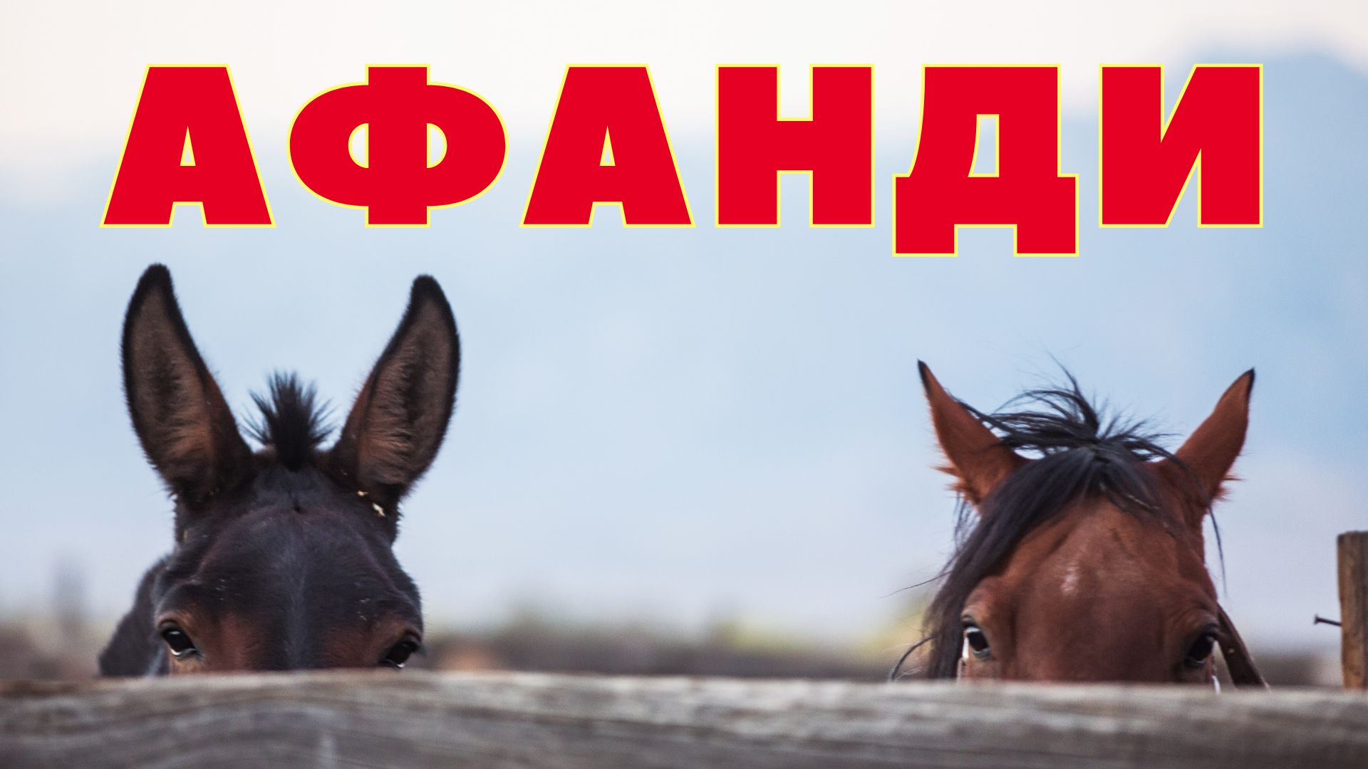 Собрник Афанди 2024