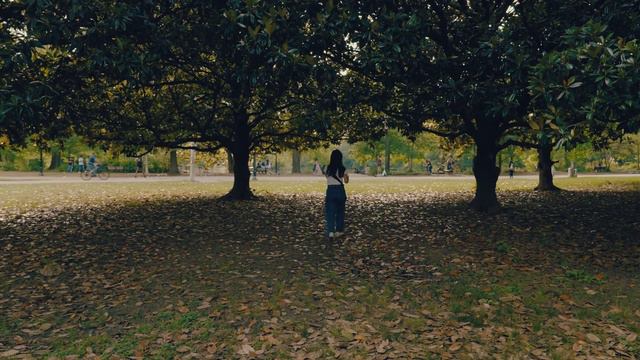 【Film Camera】Walk with Natura Classica｜Sony ZV-E1 footage│A Day in the Lofts【Cinematic Vlog】 смотреть онлайн