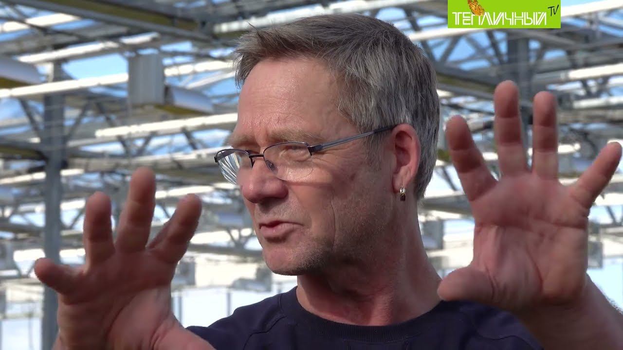 Известный всем российским производителям цветов голландец посетил "Тепличный" смотреть онлайн