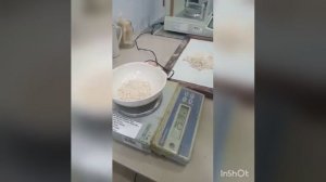 Методы определения количества и качества клейковины