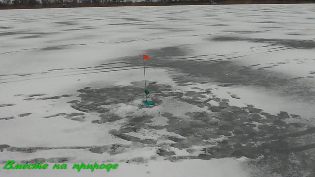 РЫБАЛКА НА ЖЕРЛИЦЫ С ПРИКОРМКОЙ. ЩУКУ МЫ ВСЁ ТАКИ НАШЛИ ! смотреть онлайн