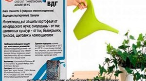 Актара для комнатных растений: инструкция и способы развода