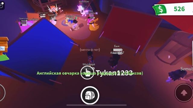 Последнее видео открываю яйца смотреть онлайн