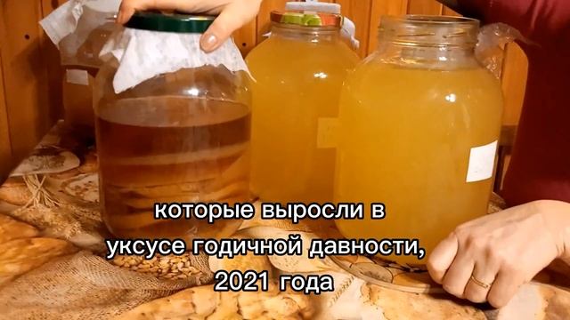 Аксессуары и Мода