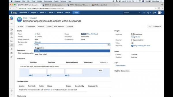 Zephyr for JIRA Overview