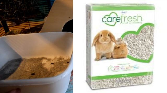 5 Dangerous Chinchilla Products смотреть онлайн