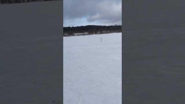 12 февраля 2023 г. смотреть онлайн