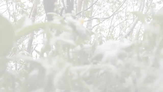 Снег 14 июня 2011 в Воркуте смотреть онлайн