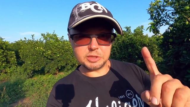 ЗАЧЕМ НАМ СОЛЬ? ВРЕД И ПОЛЬЗА СОЛИ смотреть онлайн
