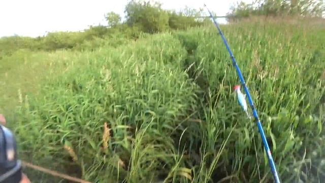 ОХОТА НА УТКУ ОСЕНЬ 2019 Часть 1. Duck hunting. смотреть онлайн