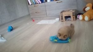 Разбор газовой колонки Авангард