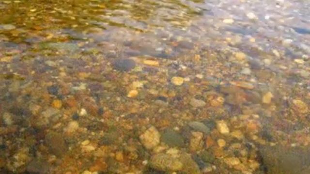 Секреты Творческого Вдохновения