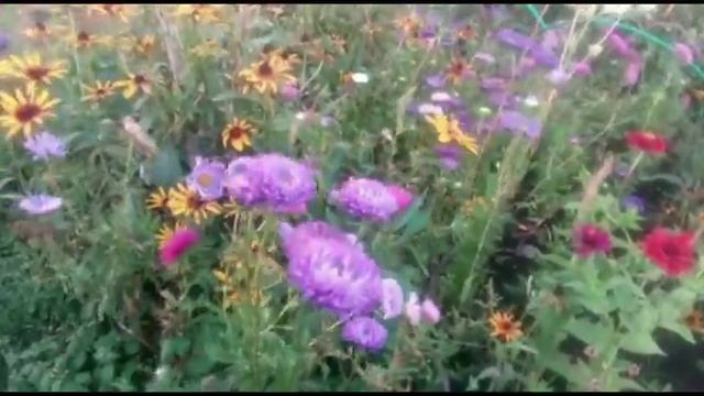 Стихи Алиссы Росс "Там" смотреть онлайн