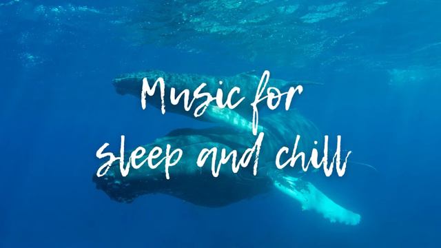 Sounds of whale singing: Sleep Music, Meditation Sound, Relax Time – Звуки природы: пение китов смотреть онлайн