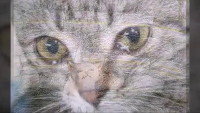 Котёнок в колодце смотреть онлайн