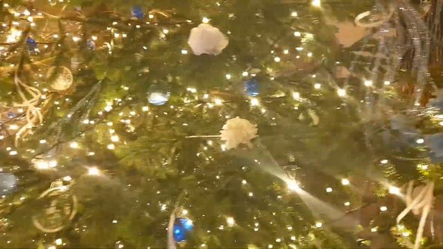 Happy New Year's mood Florence Pisa | Новогоднее настроение Флоренция Пиза смотреть онлайн