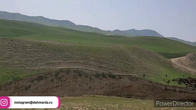 Гиссарские и каракулевые овцы, а также саги дахмарда чабанов из Чимгилиша, Кабодиён смотреть онлайн
