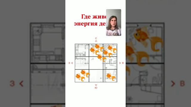 Где живет золотая рыбка? Запись Инстаграм-эфира. смотреть онлайн