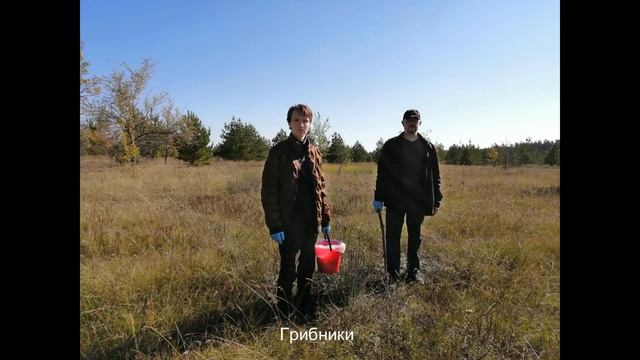 За грибами смотреть онлайн