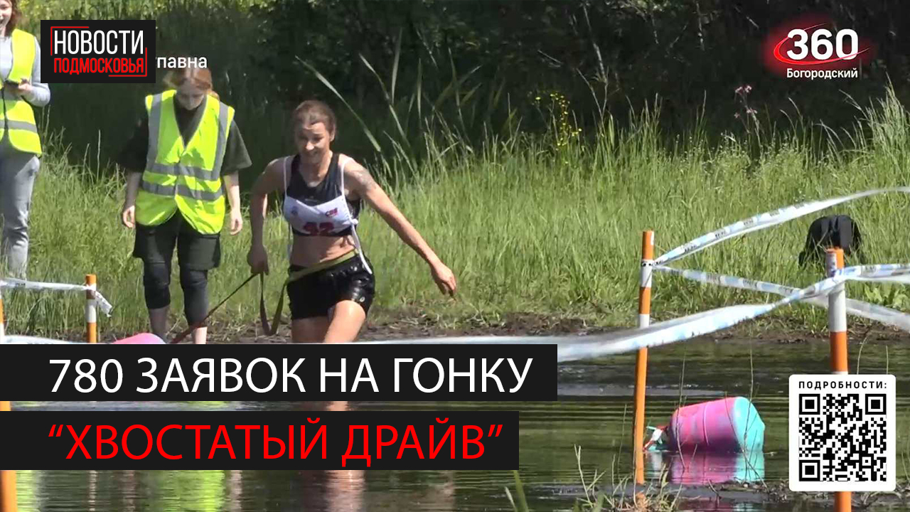 В Старой Купавне пройдут экстремальные гонки с собаками "Хвостатый драйв" смотреть онлайн