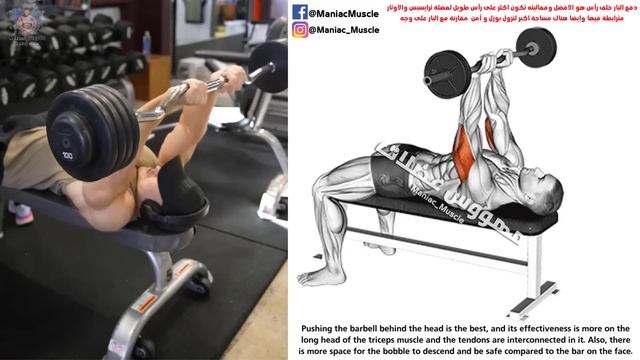 How To Build Your WIDER Triceps workout AT GYM (Effective Exercises) смотреть онлайн