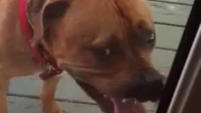 Оконный чистильщик смотреть онлайн