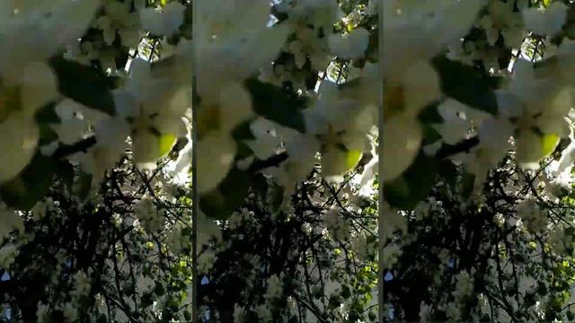 МАЙСКИЙ ВЛОГ 🌸 / ЦВЕТУЩИЙ УГЛИЧ / ОЧЕНЬ ВАЖНОЕ СООБЩЕНИЕ ДЛЯ ЗРИТЕЛЕЙ КАНАЛА / ПРОГУЛКА ПО УГЛИЧУ смотреть онлайн