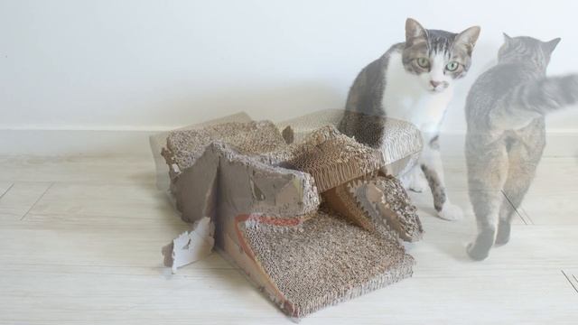 100 days Timelapse | DIY by cats смотреть онлайн