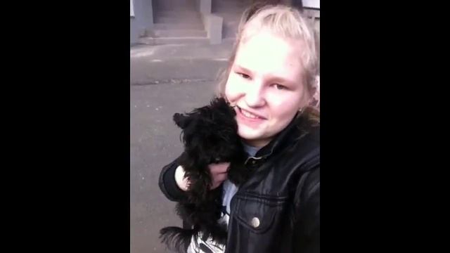 vlog : прогулка хомяка и суслика / лесик смотреть онлайн