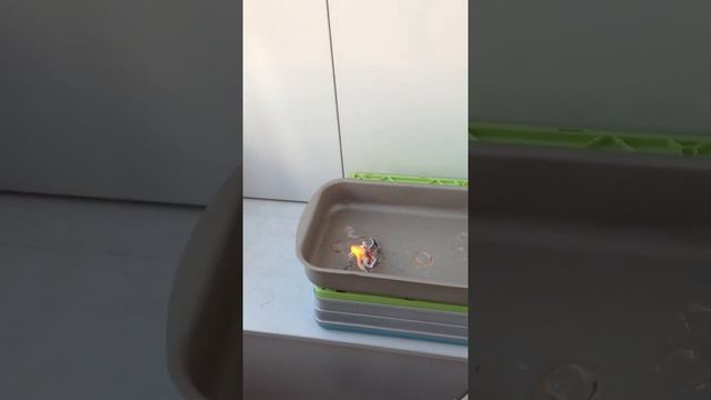 Дракон смотреть онлайн