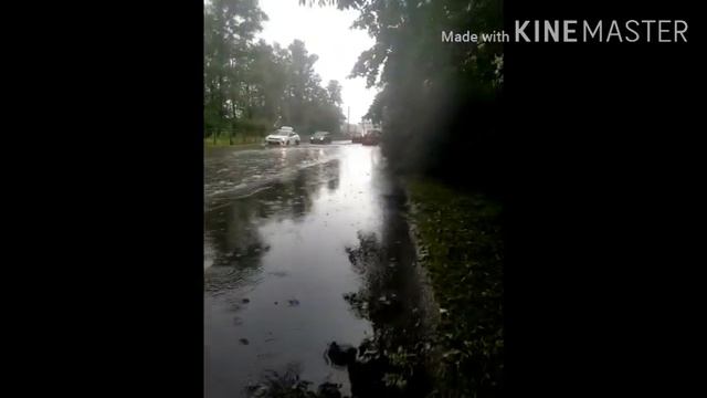 Санкт-Петербург горд Пушкин 06.16.2020 смотреть онлайн