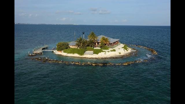 Стих моего собственного сочинения, дельфин. смотреть онлайн