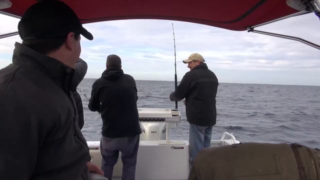 TUNA FISHING Port Fairy 14.6.15 watch in HD смотреть онлайн