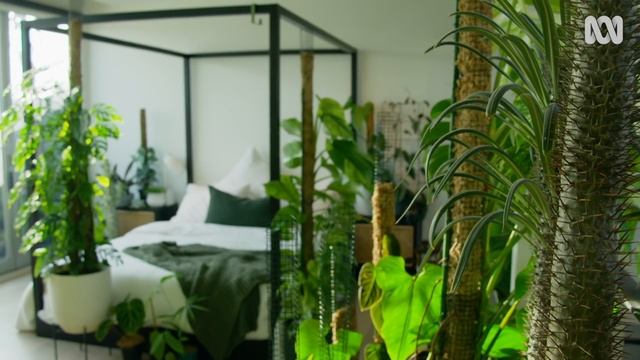 Containers & Potting Mix | Indoor Plants And Balcony Gardens | Gardening Australia смотреть онлайн