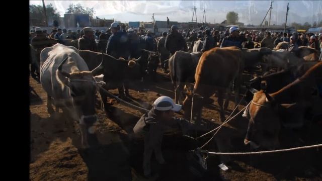 Tourism of Issyk-kul region in Kyrgyzstan　キルギス　イシククリ州観光 смотреть онлайн