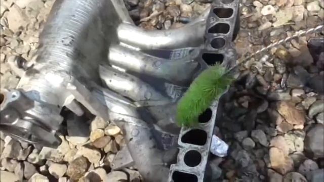 Как почистить впускной коллектор смотреть онлайн