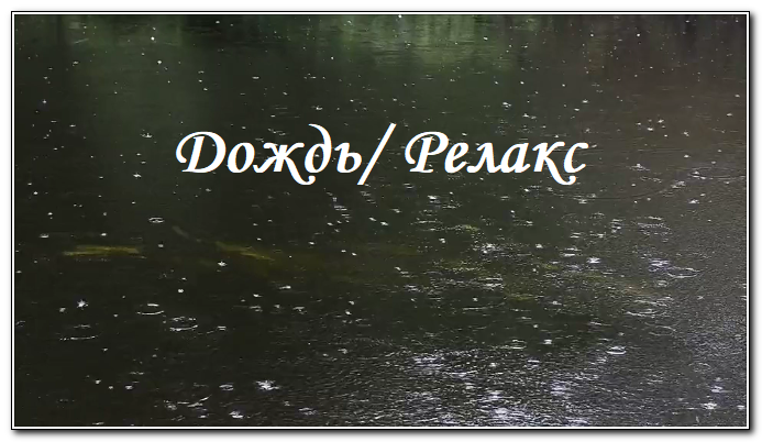 Легкий дождь и пение птиц для расслабления/ Видео обои для отдыха, сна, учебы, медитации