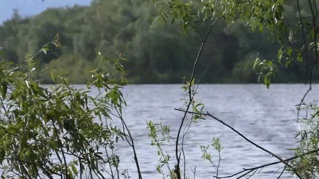 чудесная РЫБАЛКА на р. Ловать 2018 - 2019 начало июня. ?Новгородская область ? смотреть онлайн