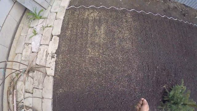 Всход газона\Бордюры\Посадил Туи Ель Иву Можжевельник\Водоснабжение\Фасад колодца\Часть 3 (май 2020 смотреть онлайн